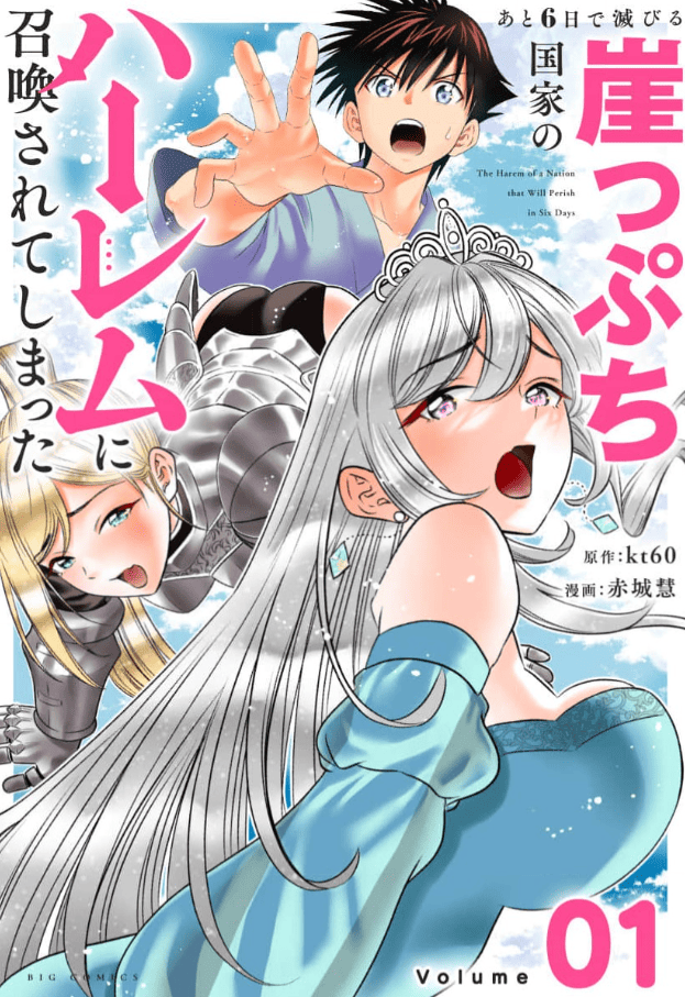 あと6日で滅びる崖っぷち国家のハーレムに召喚されてしまったカバー